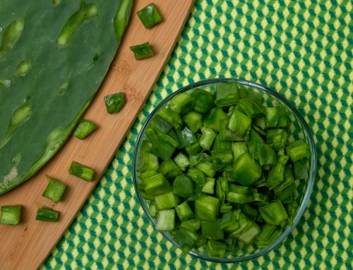 Nopal en Cubos